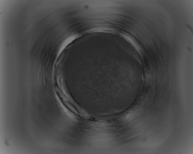 X0000093131050200710171303