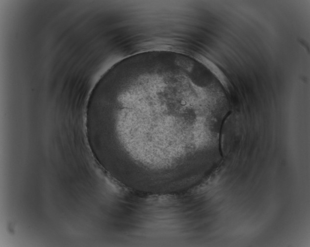 X0000093131051200710171303