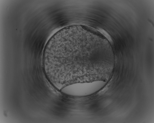 X0000093131052200710171303