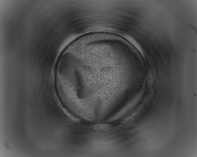 X0000093131053200710171303