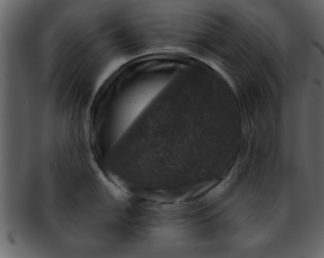 X0000093131054200710171303