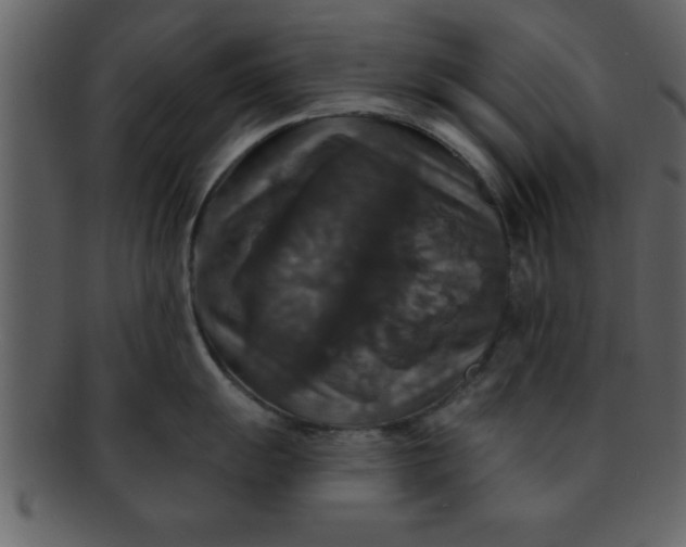 X0000093131055200710171303