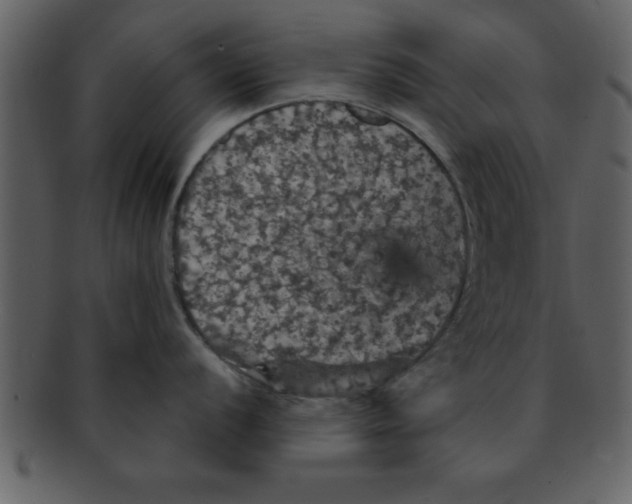 X0000093131056200710171303