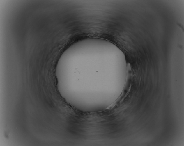 X0000093131057200710171302