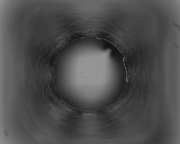 X0000093131058200710171302