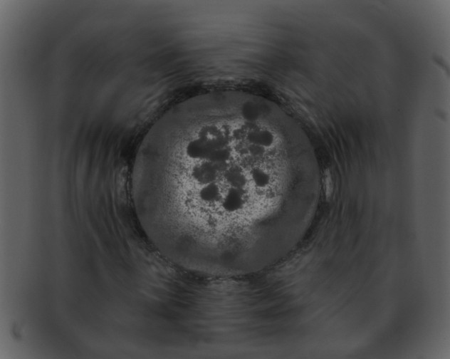 X0000093131059200710171302