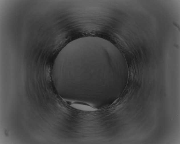 X0000093131060200710171302