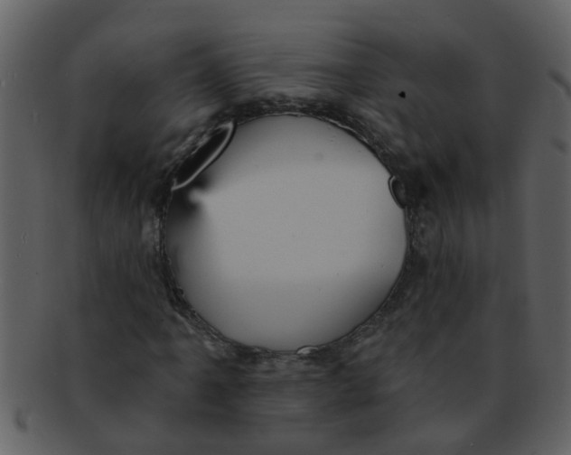 X0000093131061200710171302