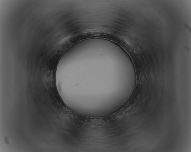 X0000093131062200710171302