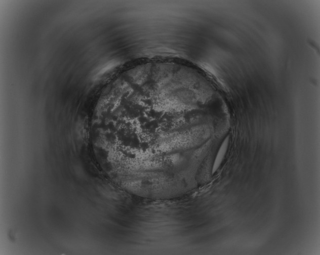 X0000093131063200710171302