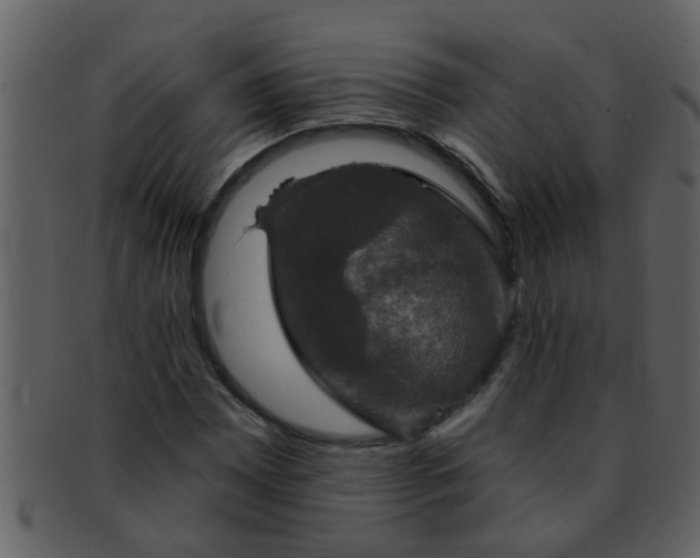 X0000093131065200710171302