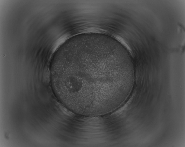 X0000093131067200710171302