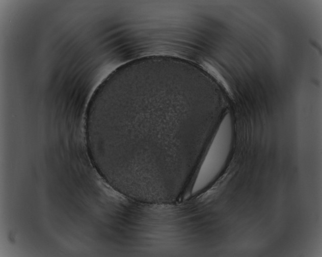 X0000093131068200710171302