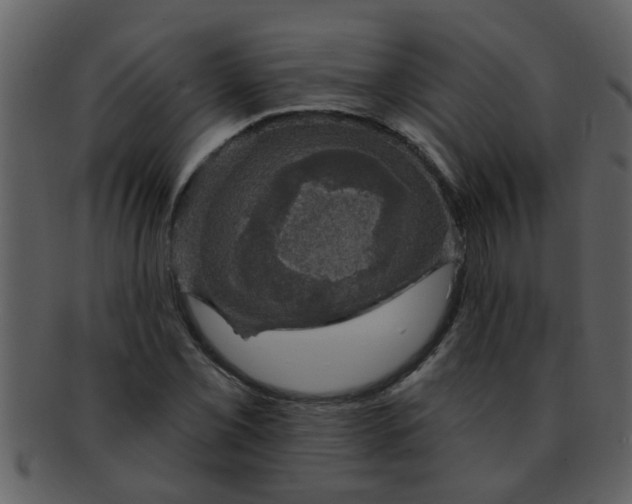 X0000093131069200710171302