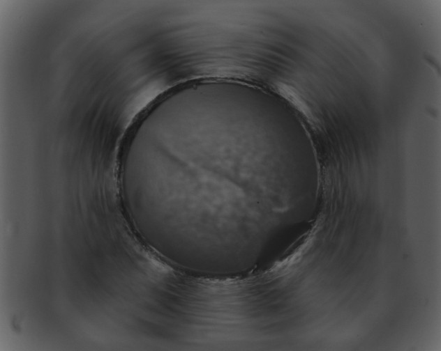 X0000093131071200710171302