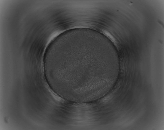 X0000093131072200710171302