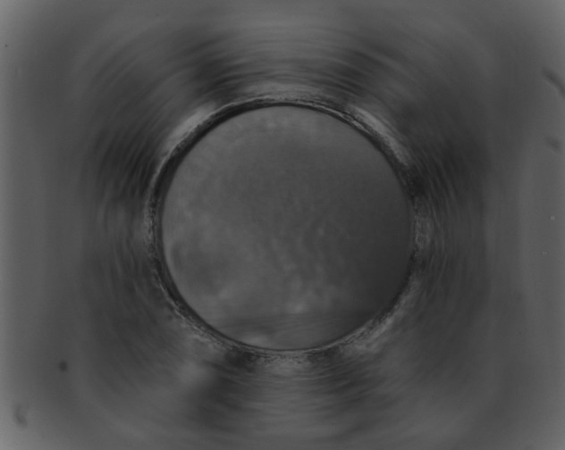 X0000093131074200710171302