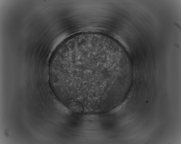 X0000093131075200710171302