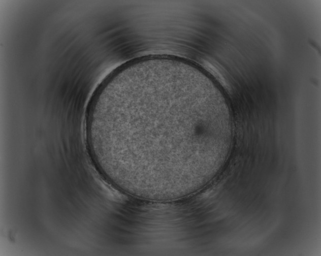 X0000093131076200710171302