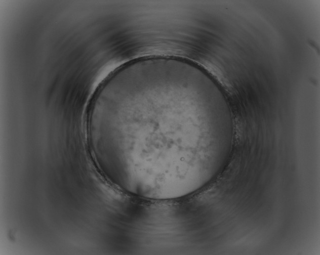 X0000093131078200710171302