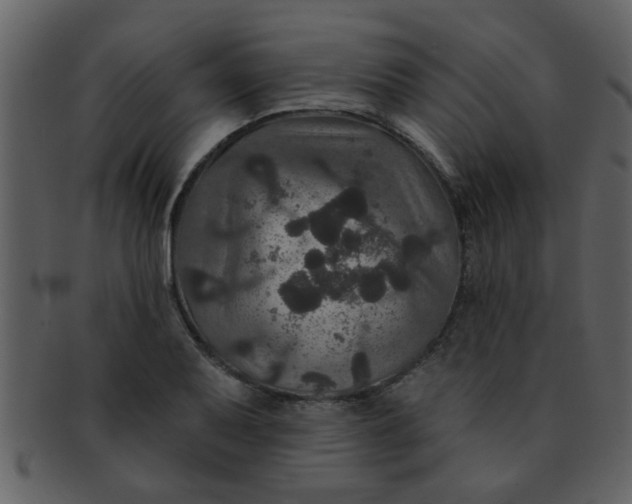 X0000093131079200710171302