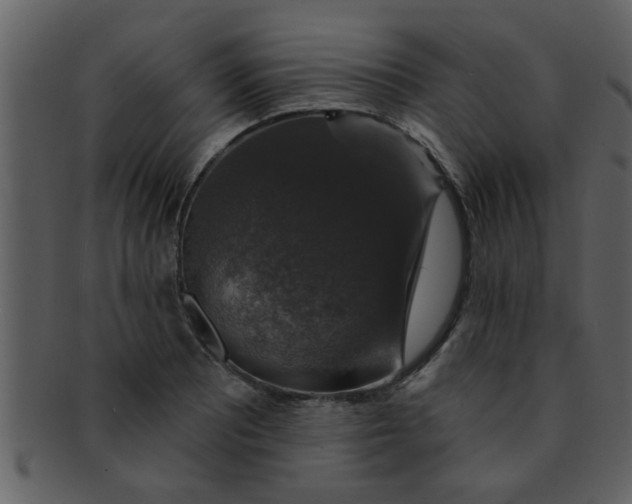 X0000093131081200710171302