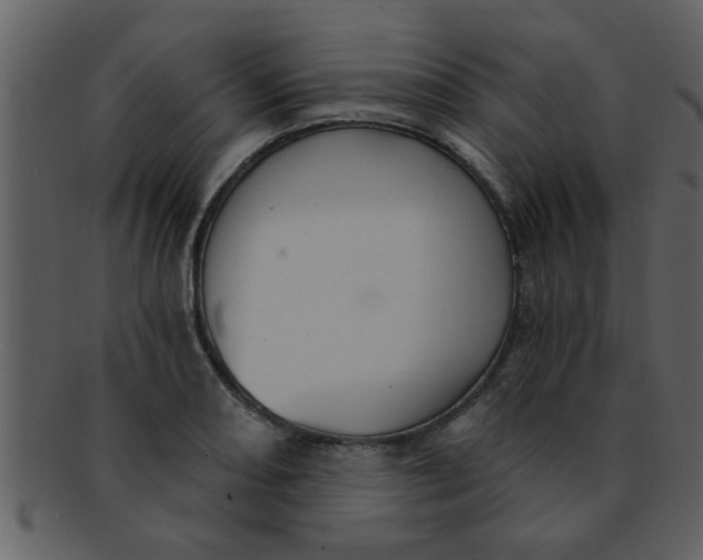 X0000093131082200710171302