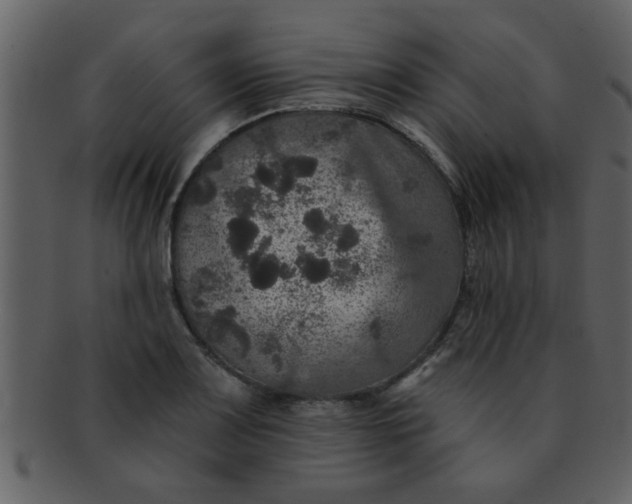 X0000093131083200710171302