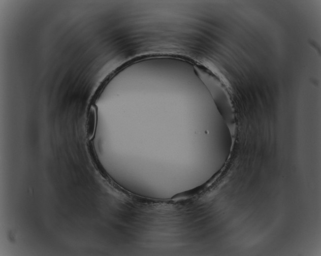 X0000093131085200710171302