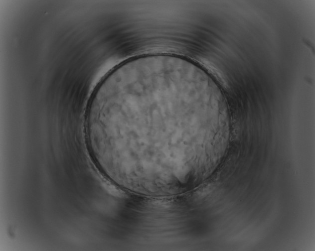 X0000093131086200710171302