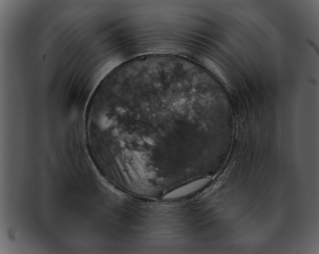 X0000093131087200710171302