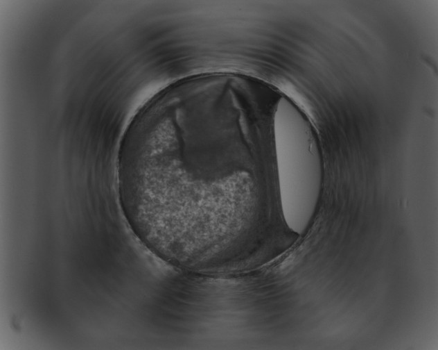 X0000093131088200710171302