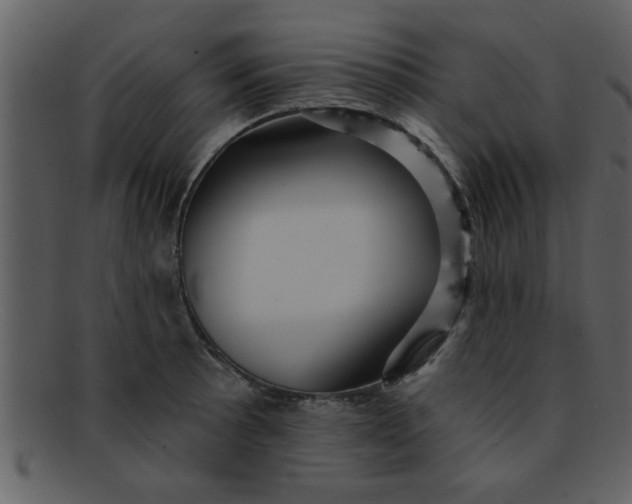 X0000093131089200710171302