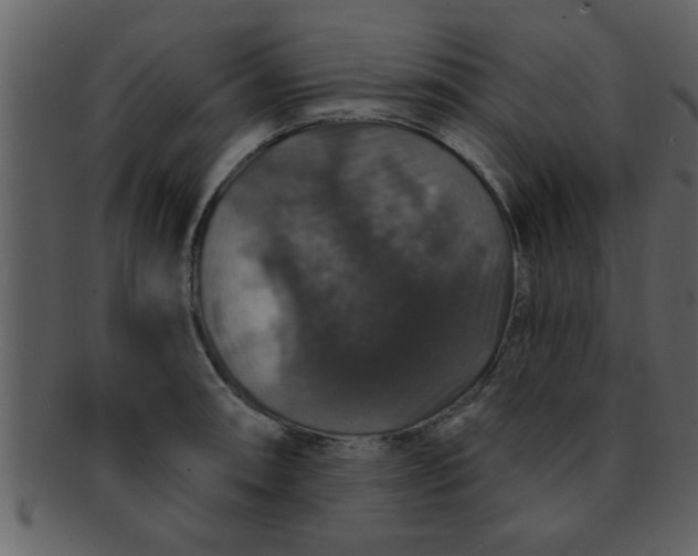 X0000093131090200710171302