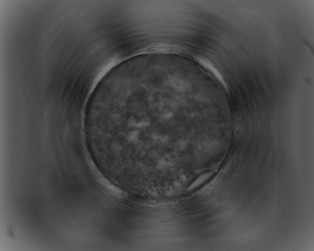 X0000093131091200710171302