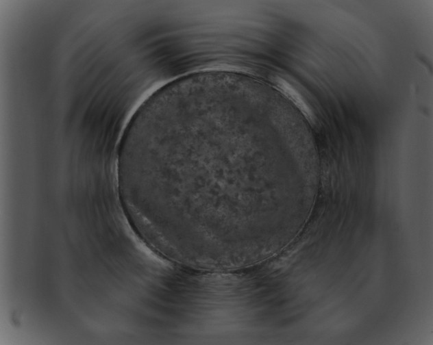 X0000093131092200710171302