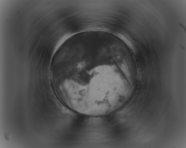 X0000093131094200710171302