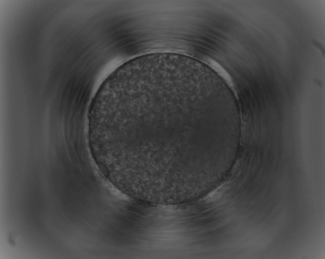 X0000093131096200710171302