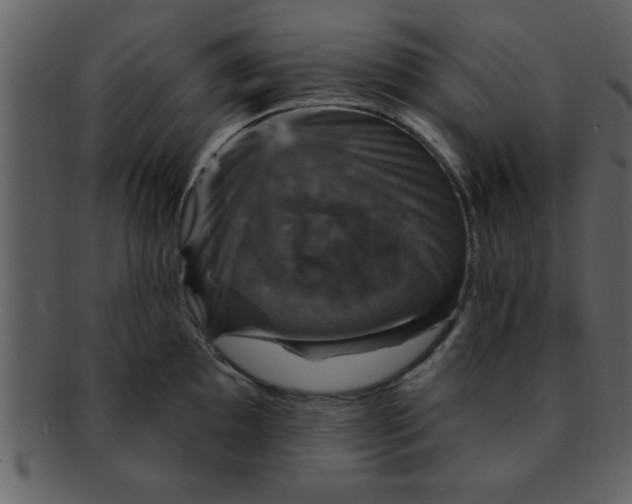 X0000093131097200710171302