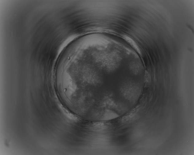 X0000093131098200710171302