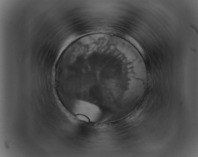 X0000093131099200710171302