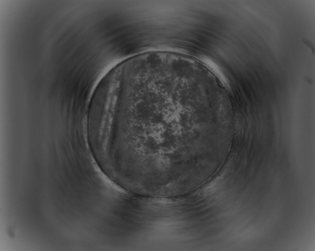 X0000093131100200710171302