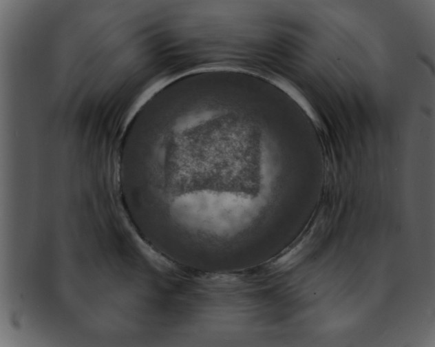 X0000093131101200710171302