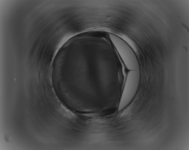 X0000093131102200710171302