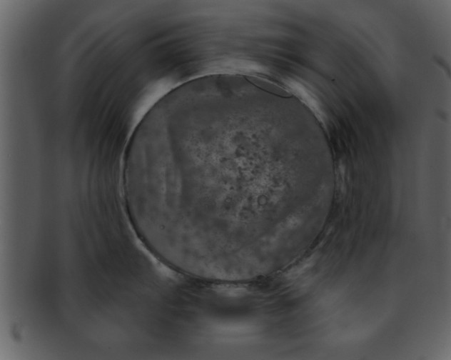 X0000093131103200710171302