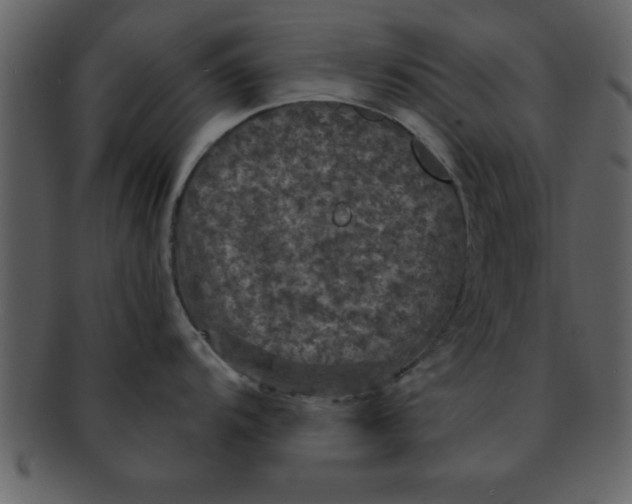 X0000093131104200710171302