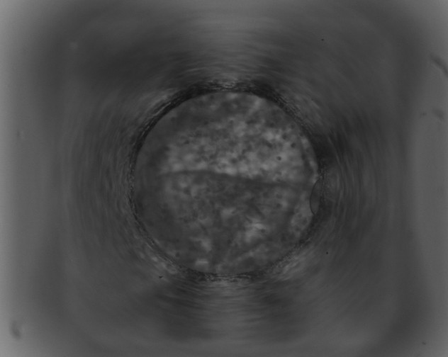 X0000093131105200710171301