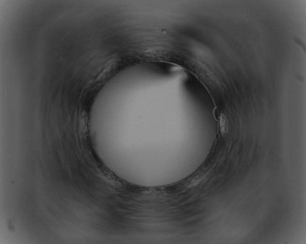 X0000093131107200710171301