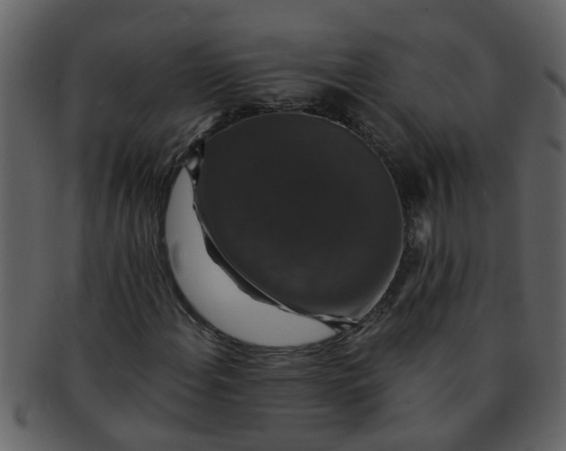 X0000093131108200710171301