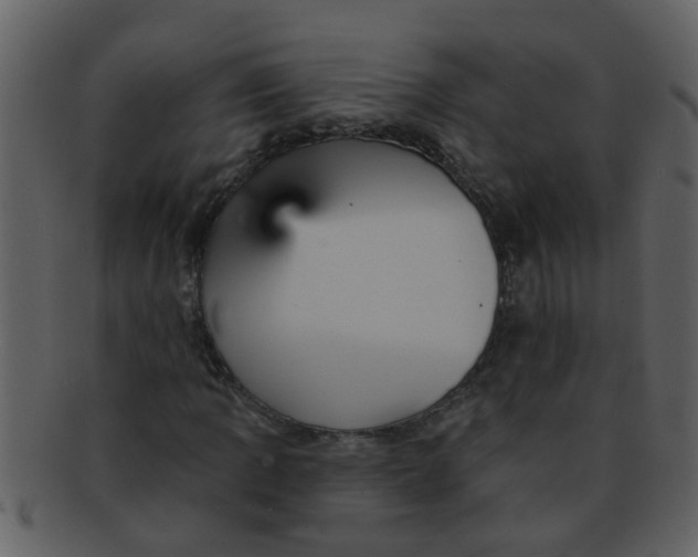 X0000093131109200710171301